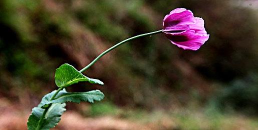 Epic喜加二：《胡闹厨房2》、《地狱既恶魔》免费领